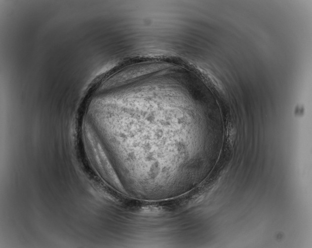 X0000101090591200807101550