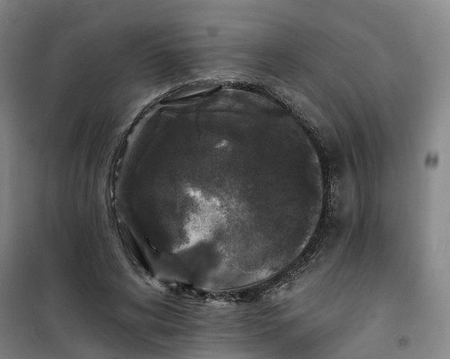 X0000101090592200807101550