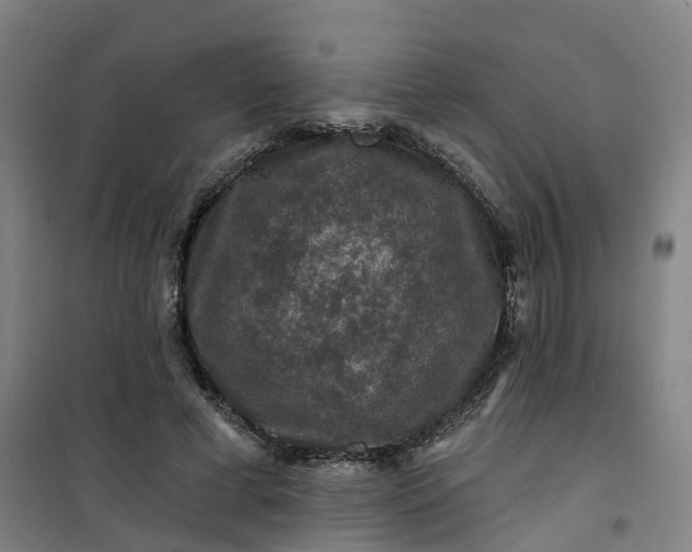 X0000101090593200807101550