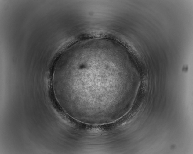 X0000101090594200807101550