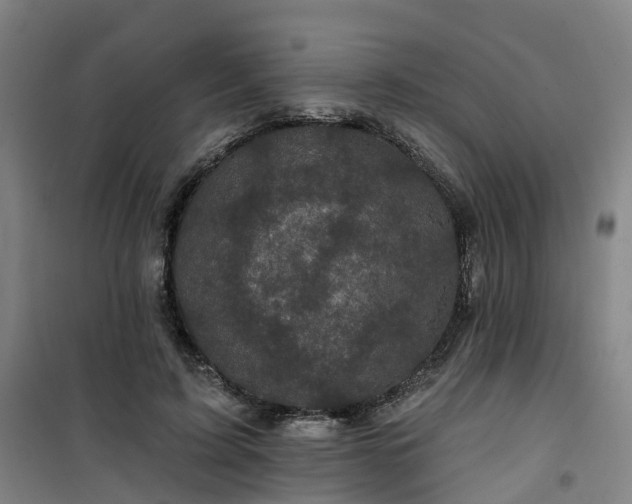 X0000101090595200807101550