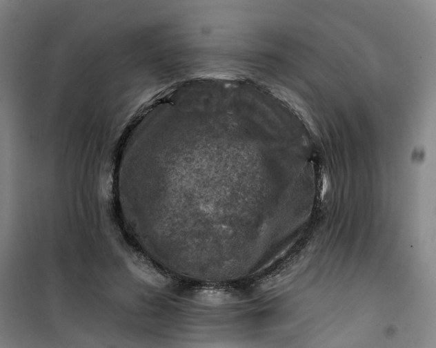 X0000101090596200807101550