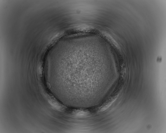 X0000101090597200807101550