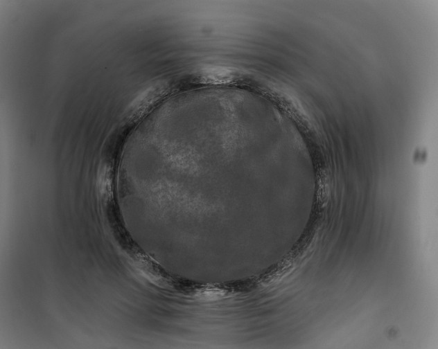 X0000101090598200807101550