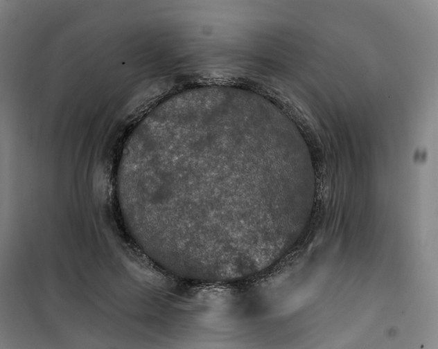 X0000101090599200807101550