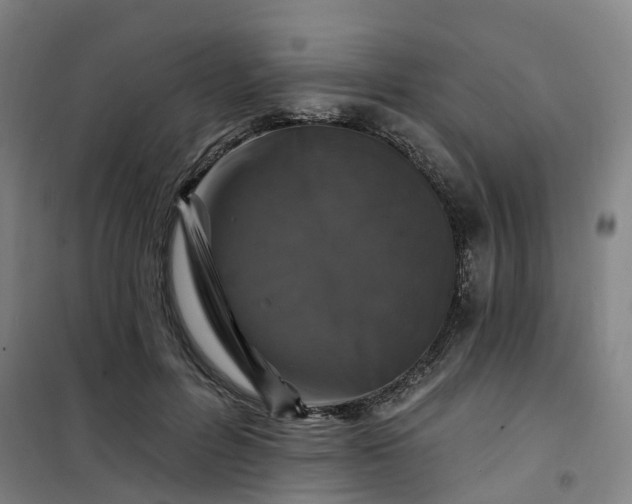 X0000101090600200807101550