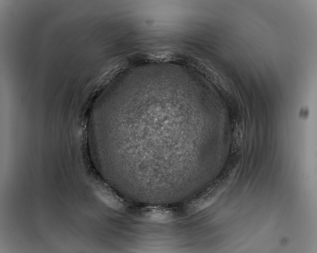 X0000101090601200807101550