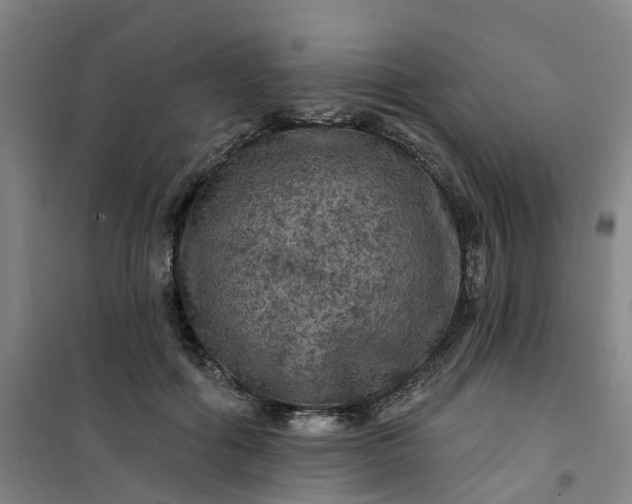 X0000101090602200807101550