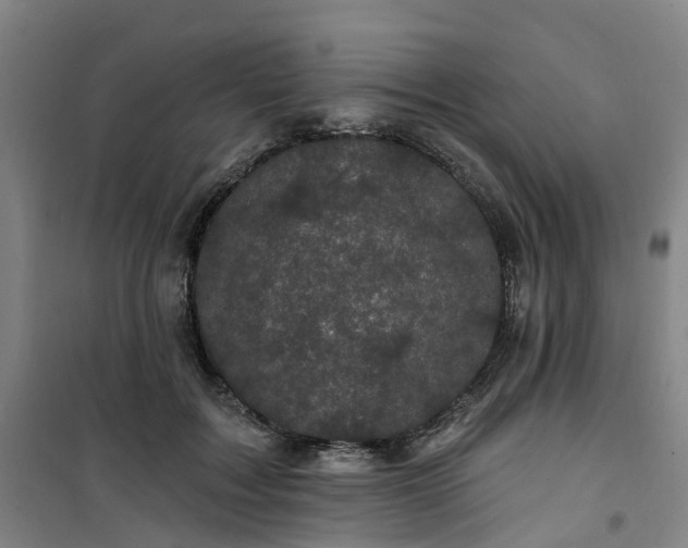 X0000101090603200807101550