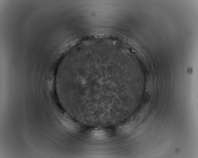 X0000101090604200807101550