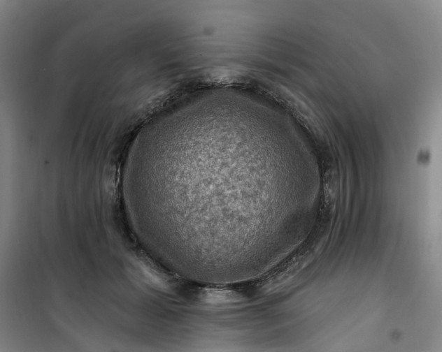 X0000101090605200807101550