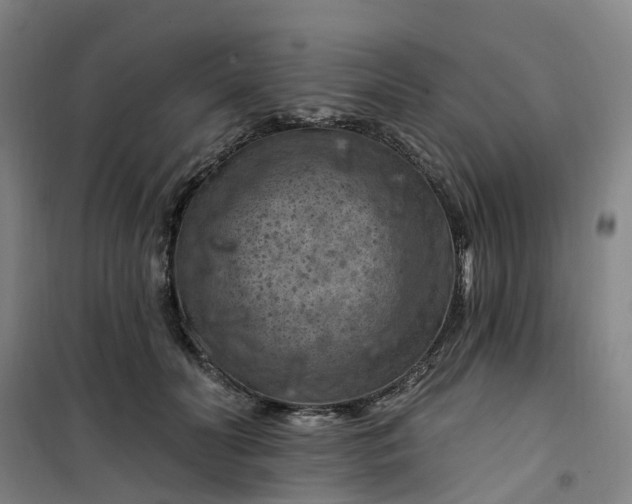 X0000101090606200807101550