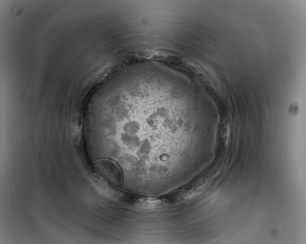 X0000101090607200807101550