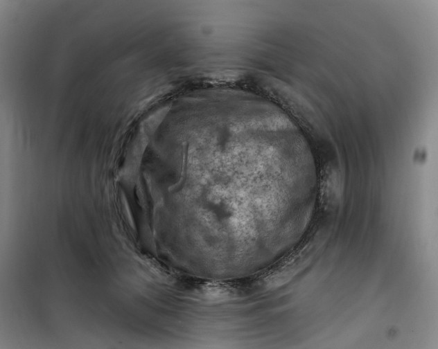 X0000101090608200807101550