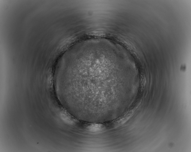 X0000101090609200807101550