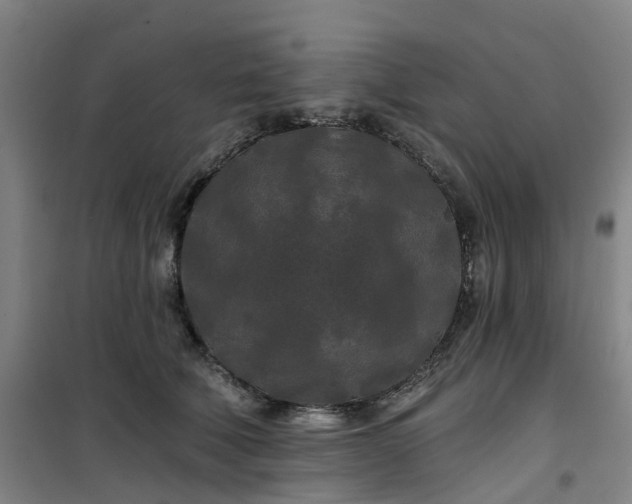 X0000101090610200807101550