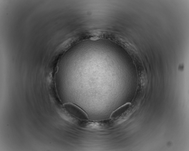 X0000101090611200807101550