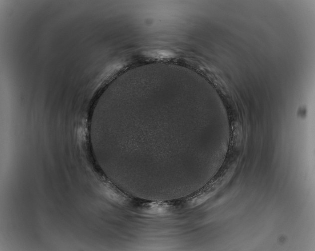 X0000101090612200807101550