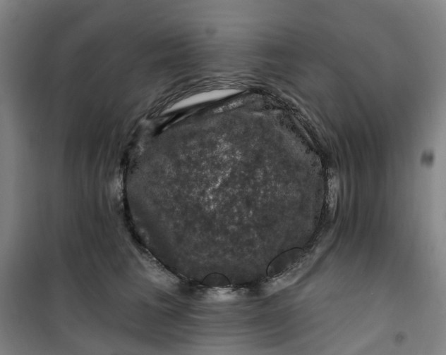 X0000101090613200807101550