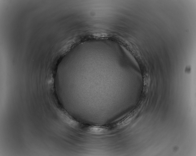 X0000101090614200807101550