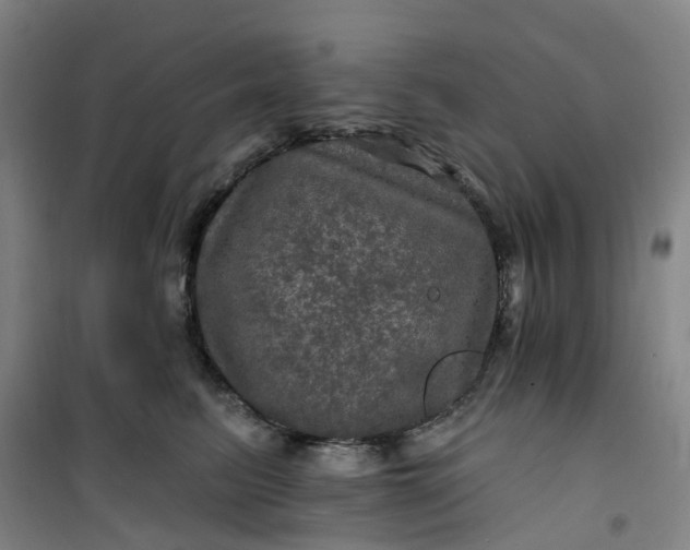 X0000101090615200807101550