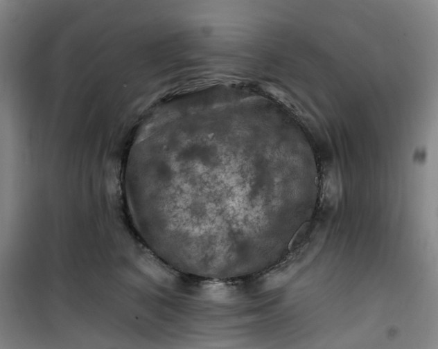 X0000101090616200807101550