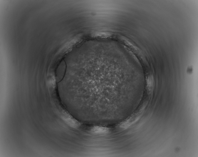 X0000101090617200807101550