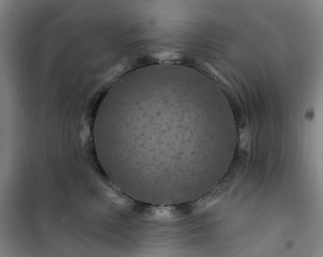 X0000101090618200807101550