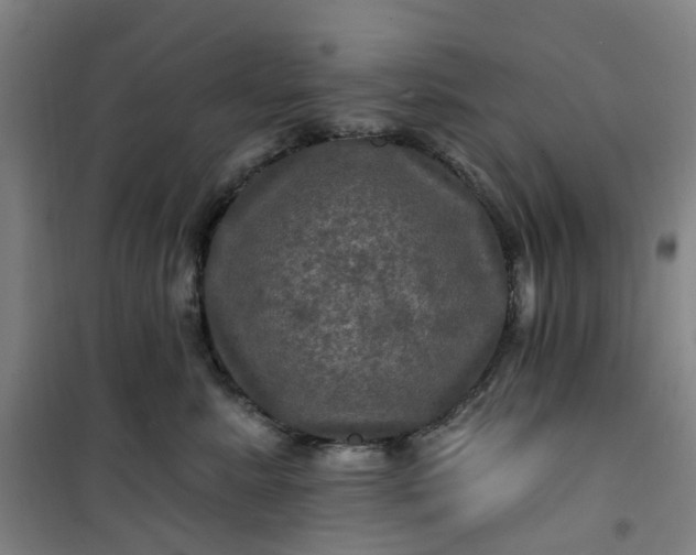 X0000101090619200807101550