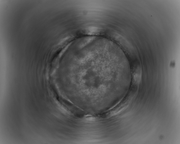 X0000101090620200807101550