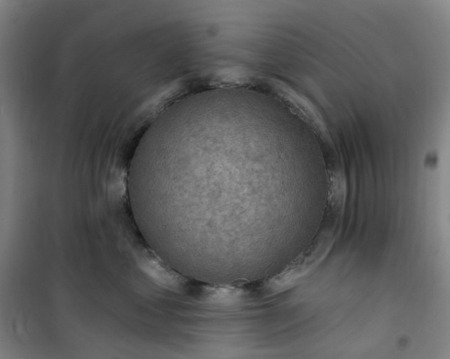 X0000101090621200807101550