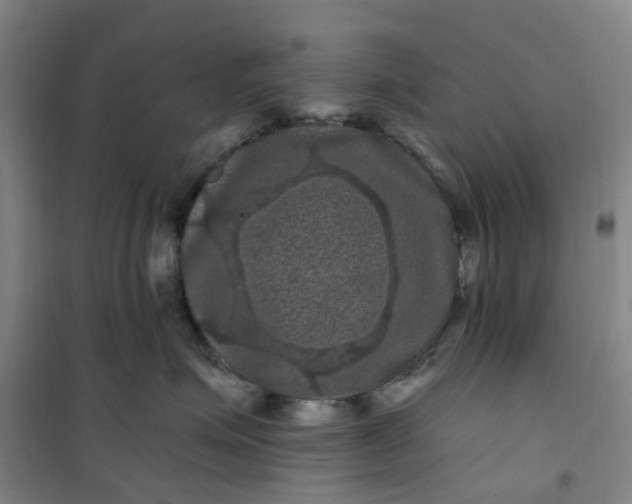 X0000101090623200807101550