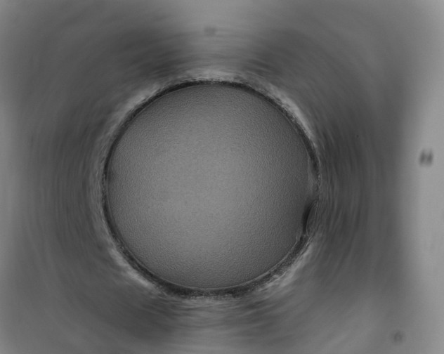 X0000101090625200807101549