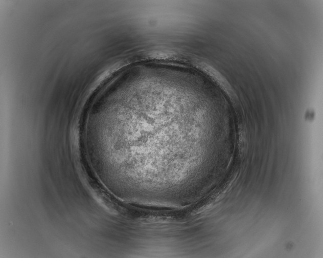 X0000101090626200807101549