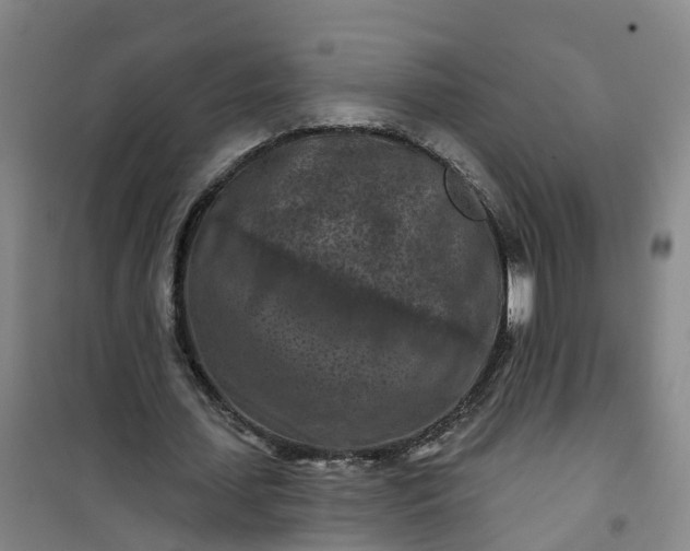 X0000101090627200807101549