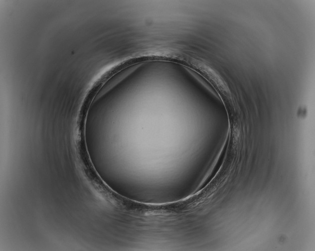 X0000101090628200807101549