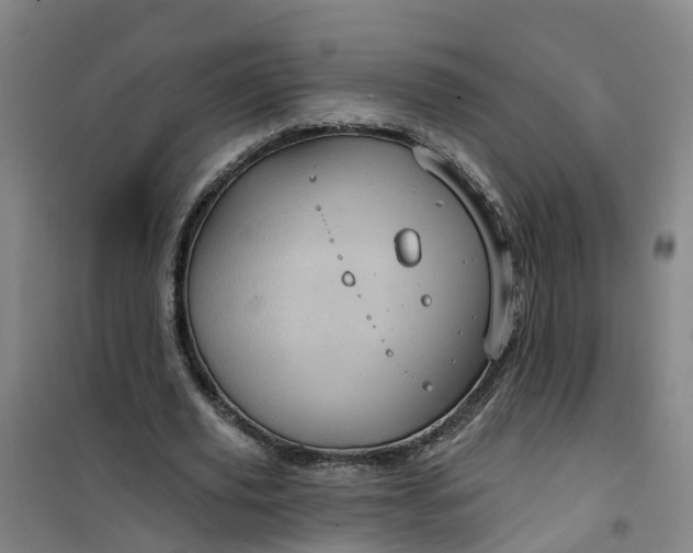 X0000101090629200807101549