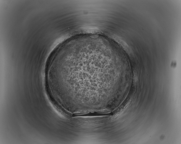 X0000101090630200807101549