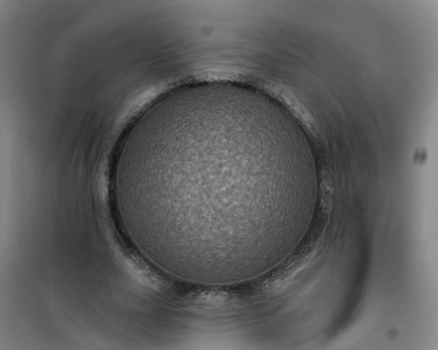 X0000101090631200807101549