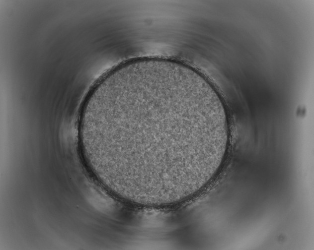 X0000101090632200807101549