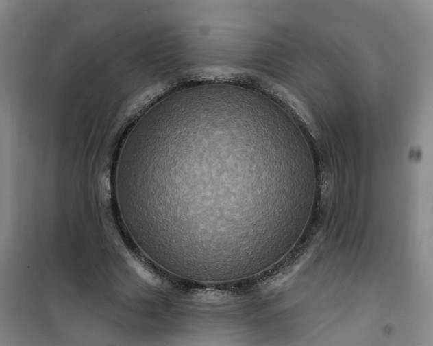 X0000101090633200807101549