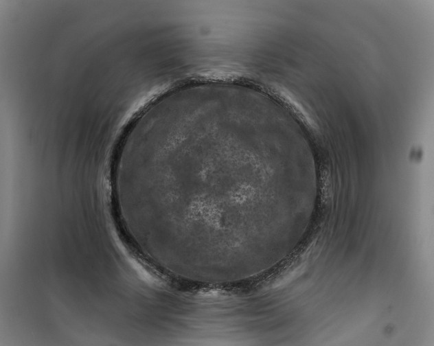 X0000101090634200807101549