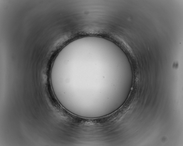 X0000101090635200807101549