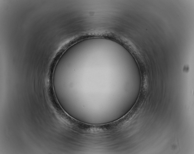 X0000101090636200807101549