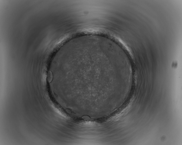 X0000101090637200807101549