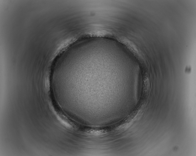 X0000101090638200807101549