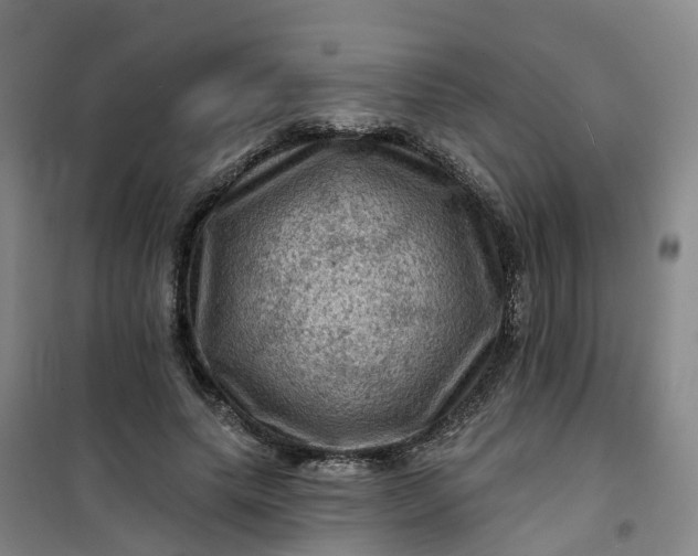 X0000101090639200807101549