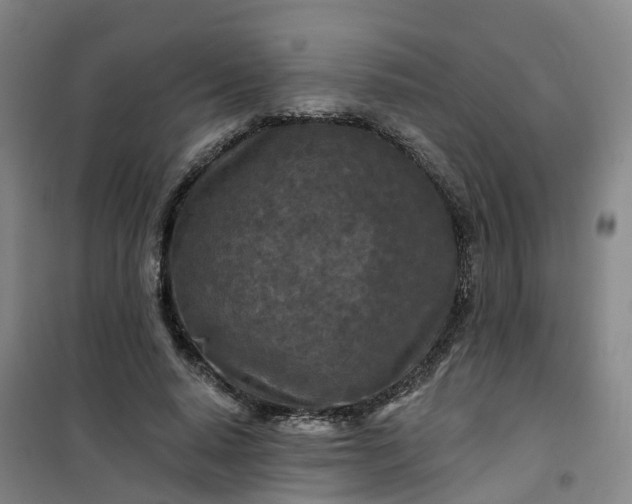 X0000101090640200807101549