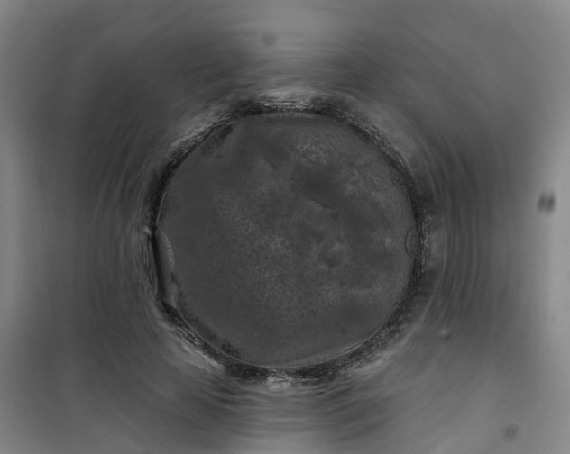 X0000101090641200807101549