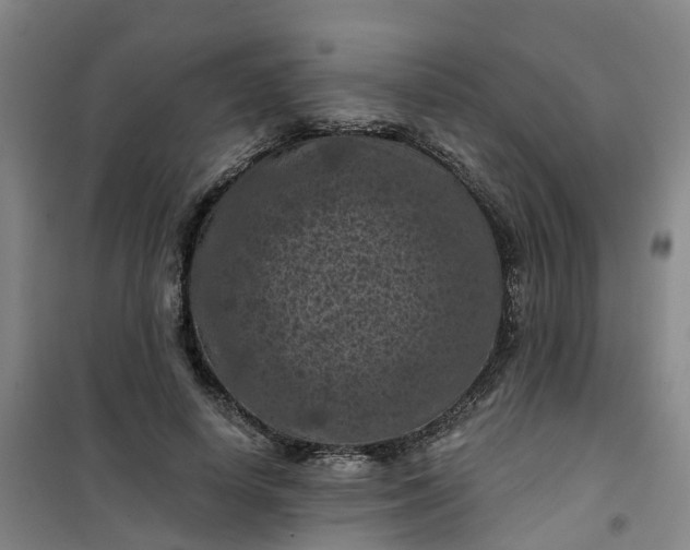 X0000101090642200807101549